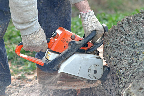 Soil Testing and Treatment in Pottsboro, TX